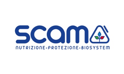 Scam logo